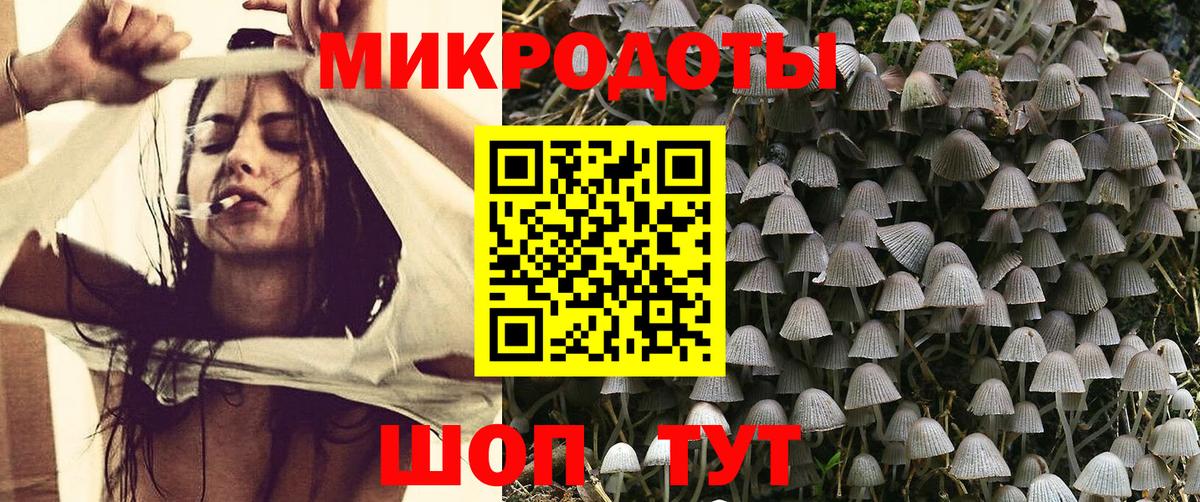 Галлюциногенные грибы Magic Shrooms Стрежевой