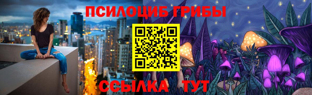 Псилоцибиновые грибы прущие грибы  даркнет сайт  Вход с VPN  Стрежевой  Галлюциногенные грибы Cubensis 