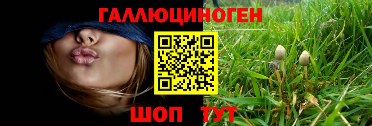 LSD-25 Стрежевой